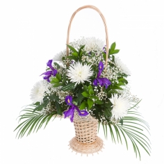 A basket of white chrysanthemums and blue irises with green fillers