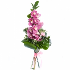 Pink orchids with green fillers