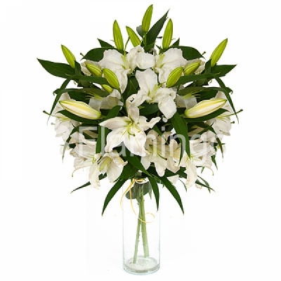 A bouquet of white lilies ‘Declaration of Love’