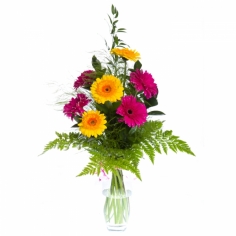 Multicolored gerbera daisies arranged with green fillers and wrapped