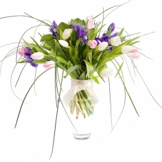 A bouquet of irises and tulips of soft colors with green fillers