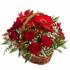 A basket arrangement with red gerberas, roses and parrot flowers