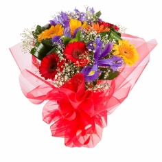 A nicely wrapped bouquet of multicolored gerbera daisies and blue irises with green fillers