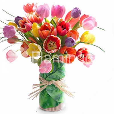 A bouquet of multicolored tulips