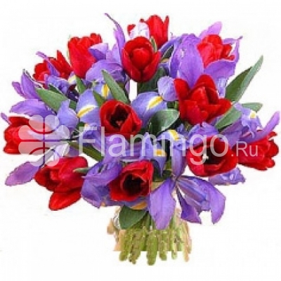 A bouquet of red tulips and blue irises