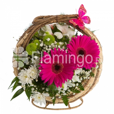 A basket with crimson gerbera daisies, white parrot flowers and spray chrysanthemums