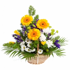 A basket with yellow gerberas, blue irises, white and green chrysanthemums and green fillers