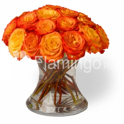 Fiery Circus roses in a vase