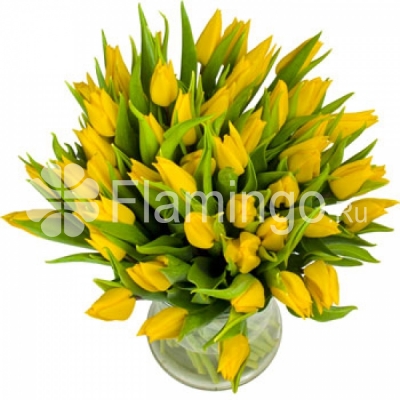 A bouquet of yellow tulips