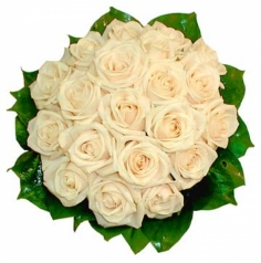 A round tight bouquet of cream roses with green fillers