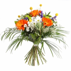 A bouquet of blue irises, orange gerbera daisies and white chrtsanthemum with green fillers