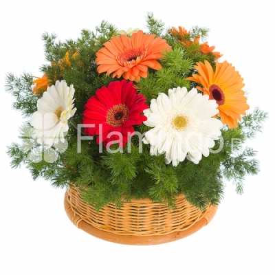 A round basket of multicolored gerbera daisies and green fillers