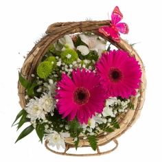 A basket with crimson gerbera daisies, white parrot flowers and spray chrysanthemums