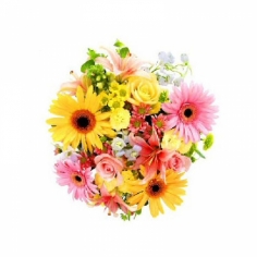 A colorful composition with gerbera daisies, roses, chrysanthemums and lilies
