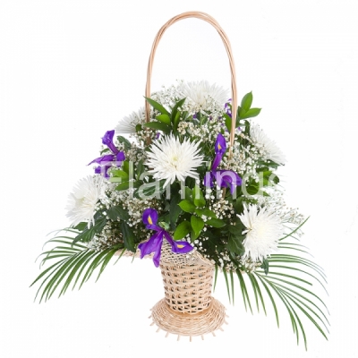 A basket of white chrysanthemums and blue irises with green fillers