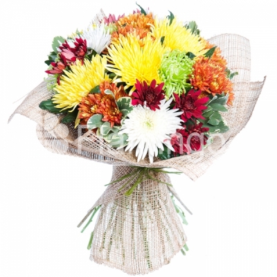 A bouquet of multicolored chrysanthemums ‘Autumn tale’