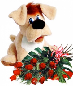 A plush doggy and a bouquet of red roses with green fillers