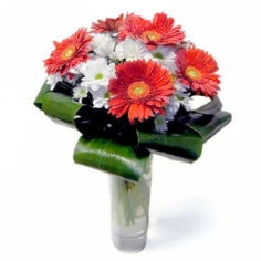 A bouquet of red gerbera daisies and white spray chrysanthemums with green fillers