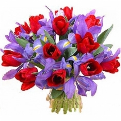 A bouquet of red tulips and blue irises
