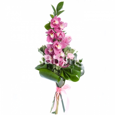 Pink orchids with green fillers