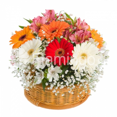 A basket of multicolored gerbera daisies with parrot flowers and green fillers