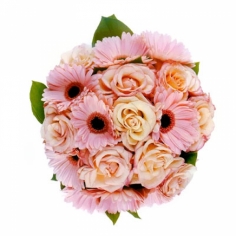A round bouquet of cream roses and pink gerbera daisies with green fillers