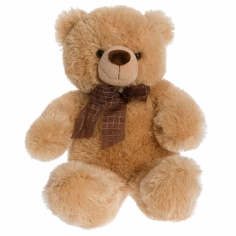 A cute teddy bear. Several size options for you to choose from