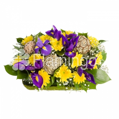 A composition of blue irises and yellow spray chrysanthemums