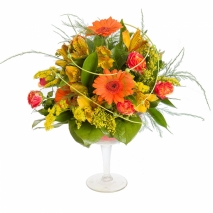 composition of gerbera daisies, parrot flowers and spray roses of warm colors