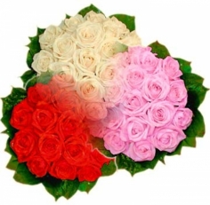 A round bouquet of roses of chosen color