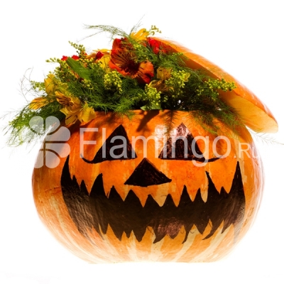 A composition of gerbera daisies and parrot flowers in a pumpkin