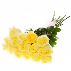 Fifteen yellow roses tied with a bow