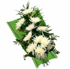 White chrysanthemums arranged with green fillers and nicely wrapped
