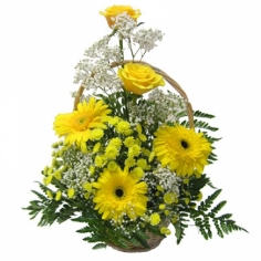 A basket of yellow roses, gerbera daisies, spray chrysanthemums with green fillers 