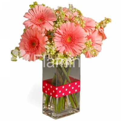 Tender pink gerbera daisies with green fillers in a vase. 