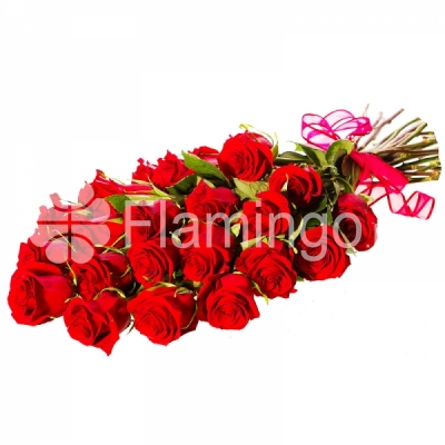 A bouquet of 25 red roses tied with a bow