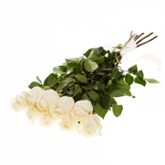 A bouquet of eleven white roses tied with a bow