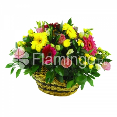 A basket with multicolored gerberas and spray roses