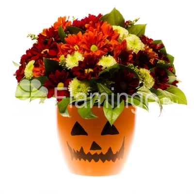 A composition of spray chrysanthemums in a pot