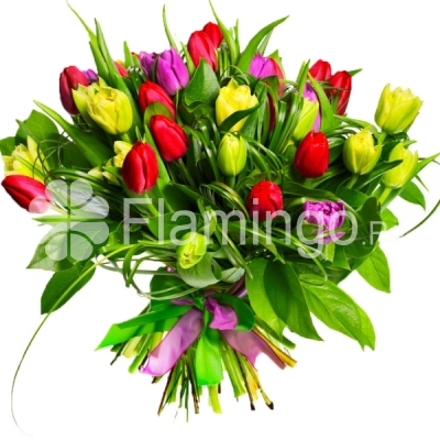 A bouquet of multicolored tulips with green fillers