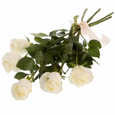 A bouquet of five white roses