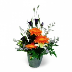 Gerbera daisies, irises, white lily and green fillers arranged in a flowerpot 