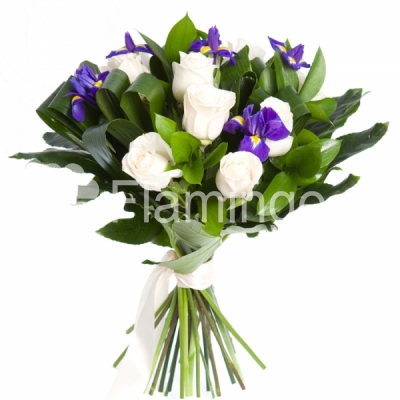 A bouquet of white roses, blue irises and green fillers tied with a bow 