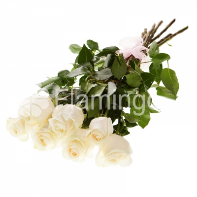 A bouquet of seven white roses