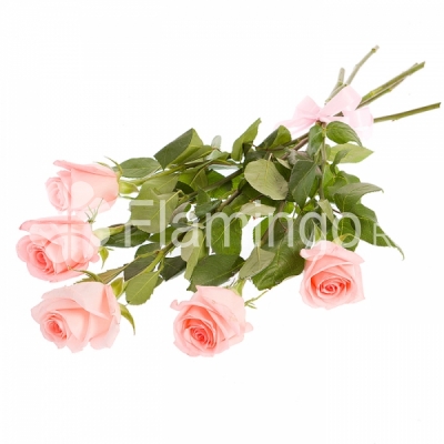 A bouquet of five light pink roses