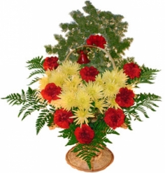 A basket with red carnations and yellow spray chrysanthemums