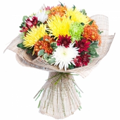 A bouquet of multicolored chrysanthemums ‘Autumn tale’