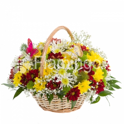 A basket of multicolored spray chrysanthemums and green fillers