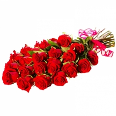 A bouquet of 25 red roses tied with a bow