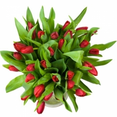 A bouquet of red tulips